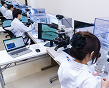 アスベスト(石綿)分析